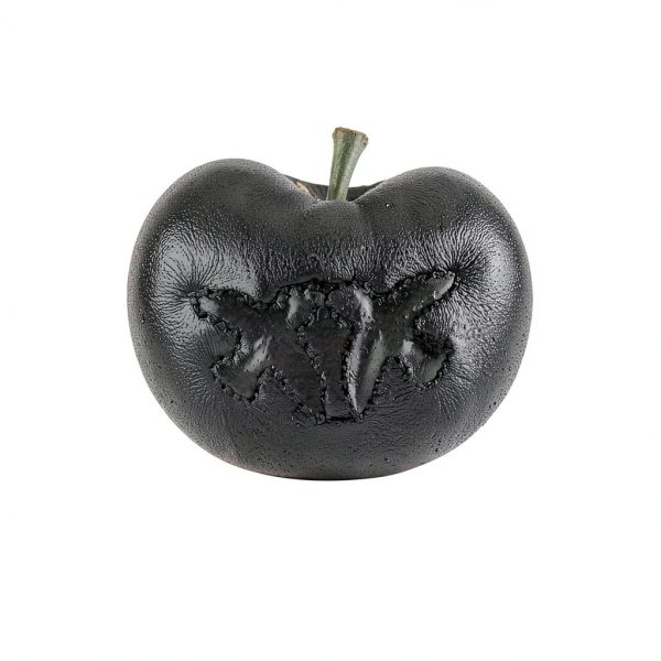 Pinko Contemporary Black Fashion Backpack with Love Birds Buckle-3