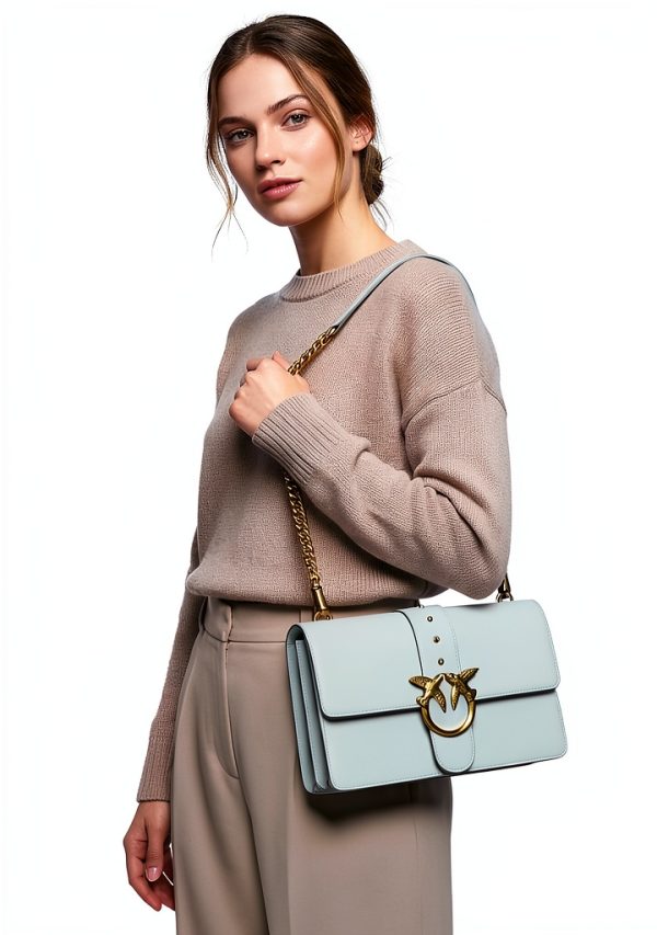 Pinko Gray Calf Leather Bos Taurus Shoulder Women's Bag-2